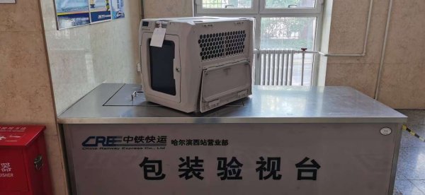 云资管 哈尔滨铁路推出宠物托运服务