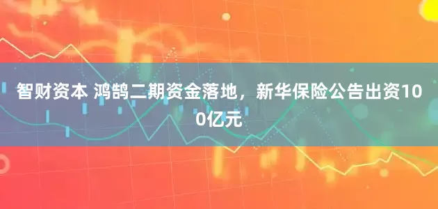 智财资本 鸿鹄二期资金落地，新华保险公告出资100亿元