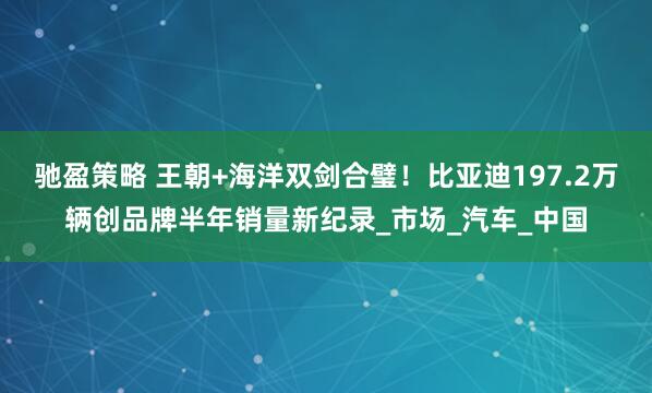 驰盈策略 王朝+海洋双剑合璧！比亚迪197.2万辆创品牌半年销量新纪录_市场_汽车_中国