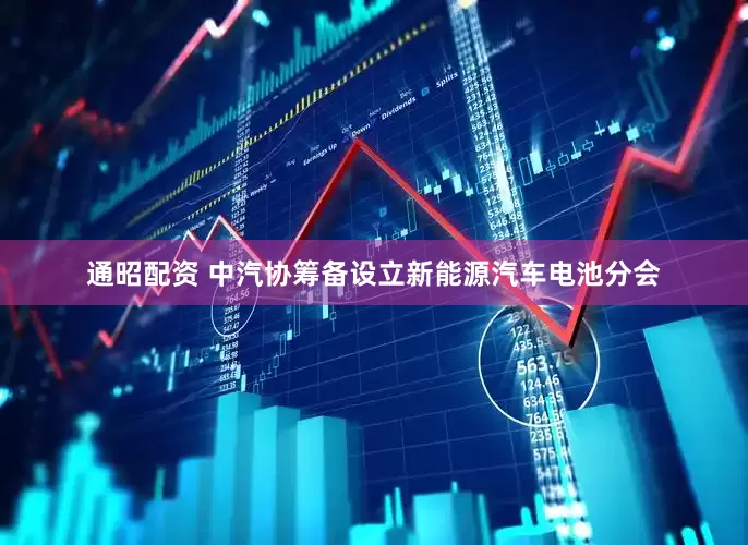 通昭配资 中汽协筹备设立新能源汽车电池分会