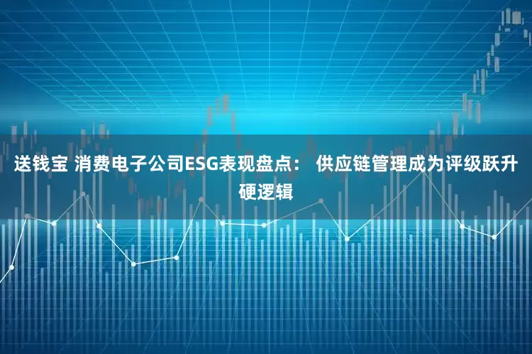 送钱宝 消费电子公司ESG表现盘点： 供应链管理成为评级跃升硬逻辑