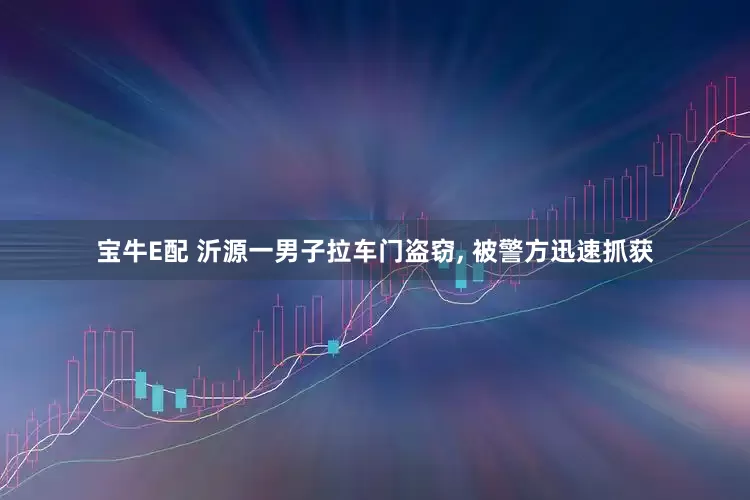 宝牛E配 沂源一男子拉车门盗窃, 被警方迅速抓获
